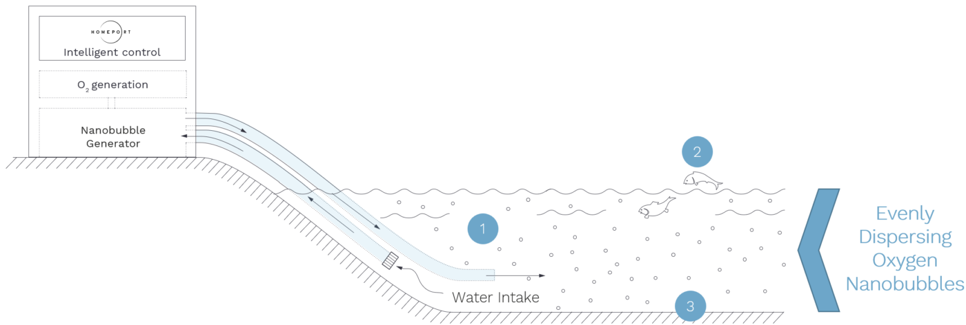 evenly dispersing oxygen nanobubbles illustration