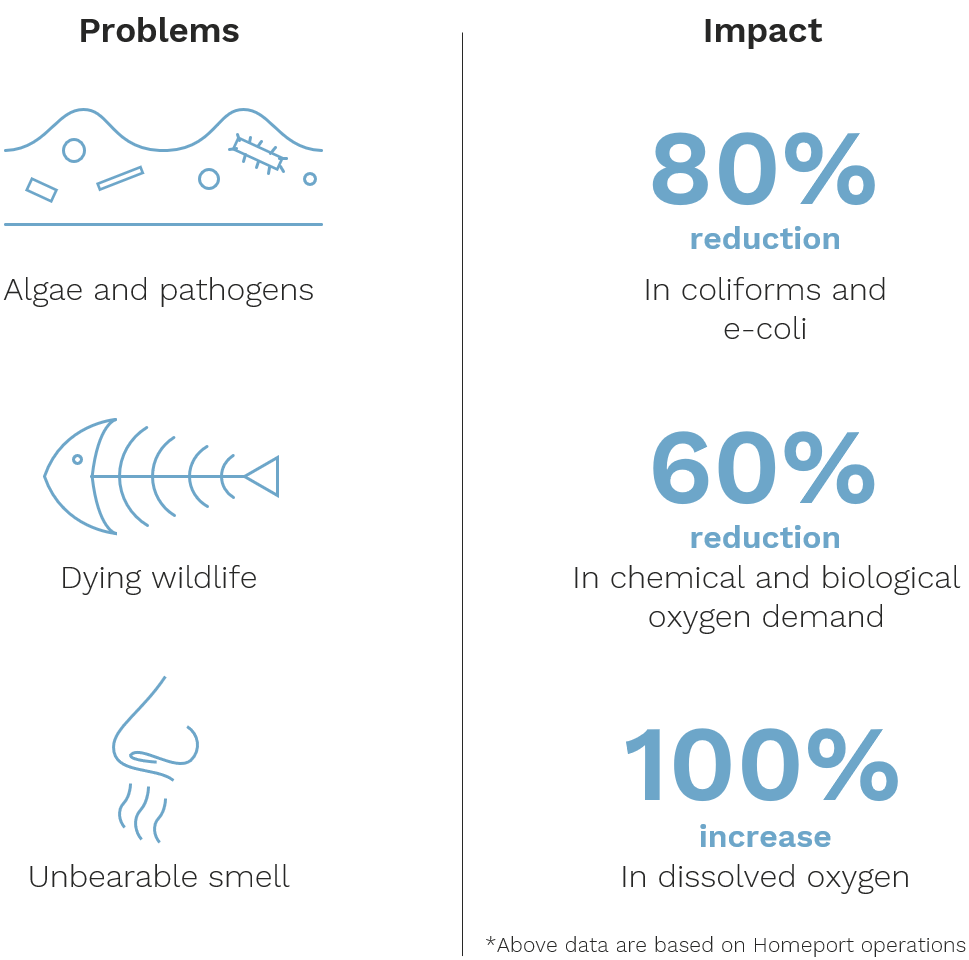 problems & impact